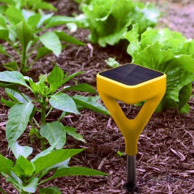A Solar-Powered Soil Sensor
