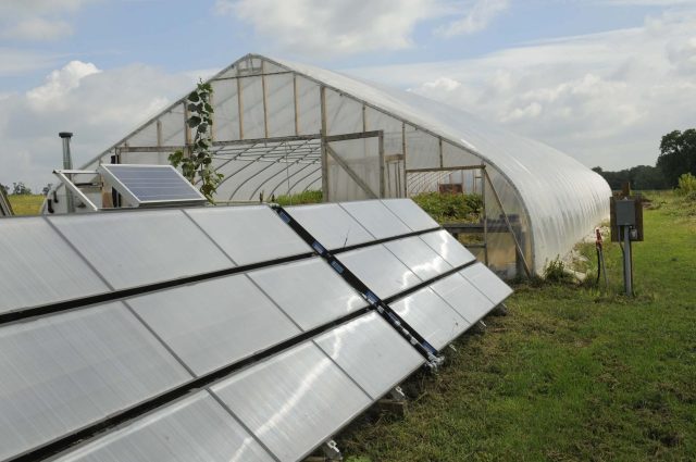 How is Solar Energy Used in Agriculture? – A Brief Guide with All the Options Open to Farmers 3