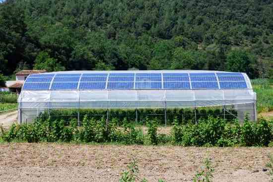 Solar Greenhouse Heating