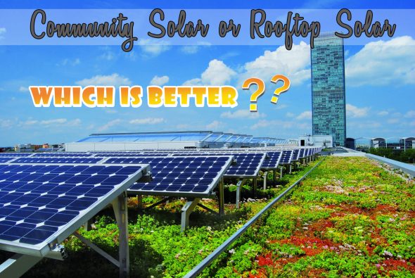 Community Solar or Rooftop Solar